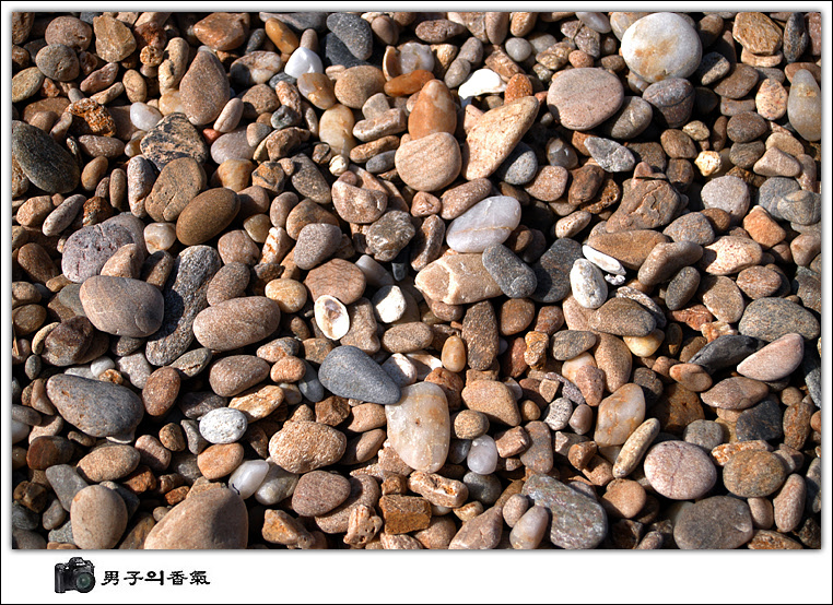 송*복 이미지