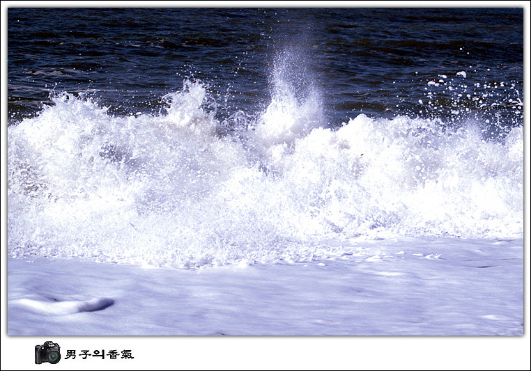 (주)바다 이미지