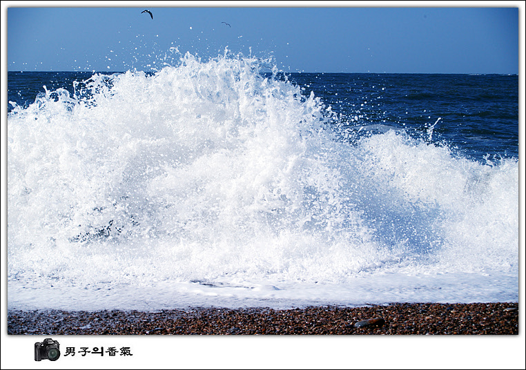 송*복 이미지