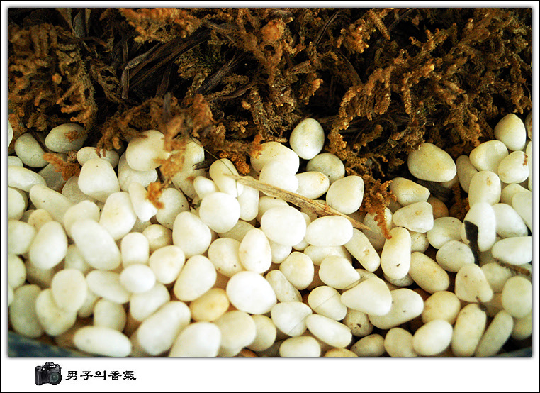 (주)바다 이미지