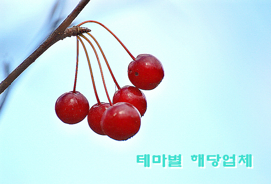 피앤씨정보통신 이미지