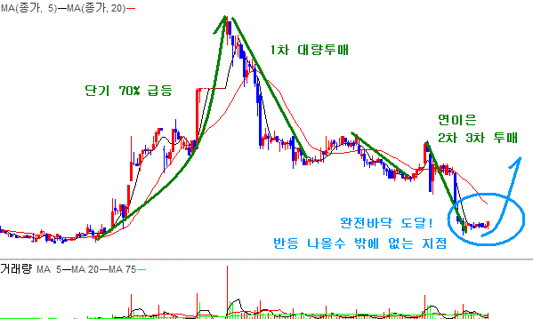 바다나라 이미지