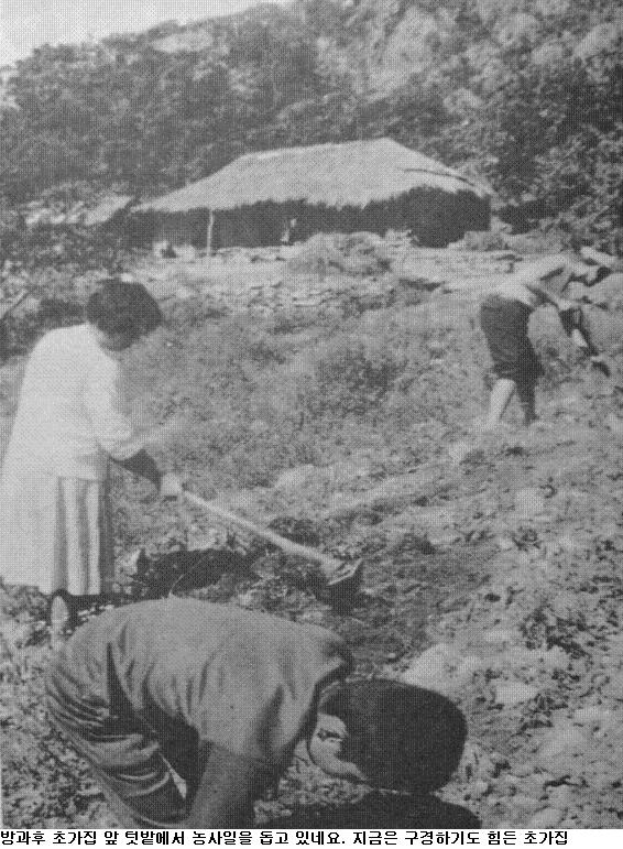 사용자가 첨부한 이미지