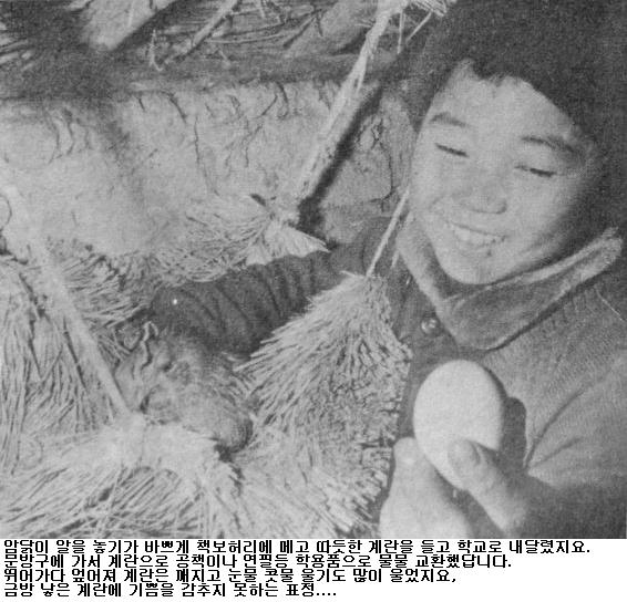 사용자가 첨부한 이미지