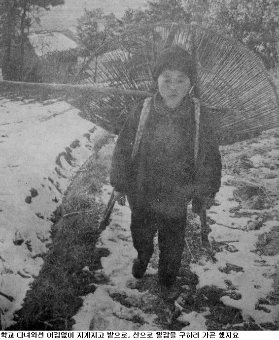 사용자가 첨부한 이미지