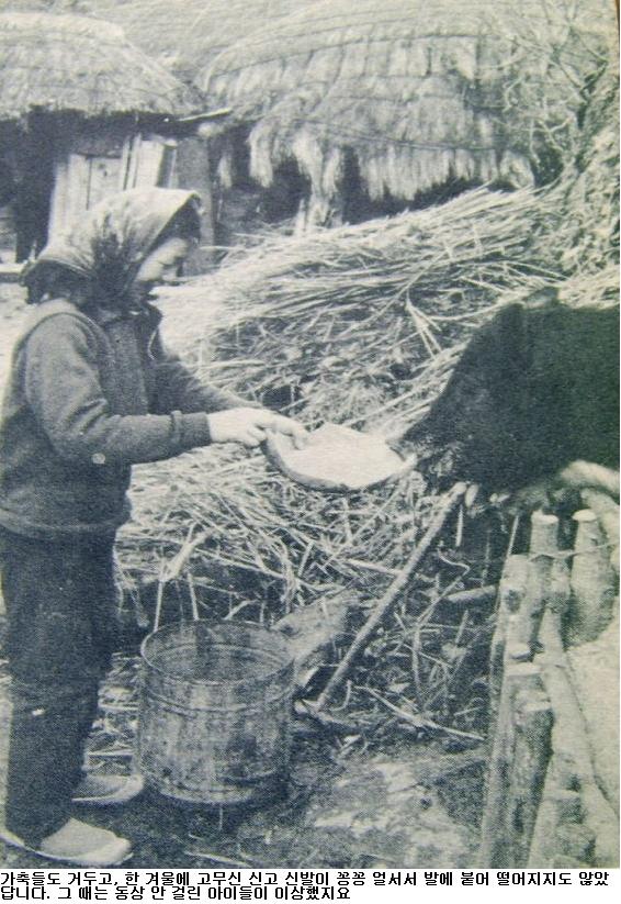 사용자가 첨부한 이미지