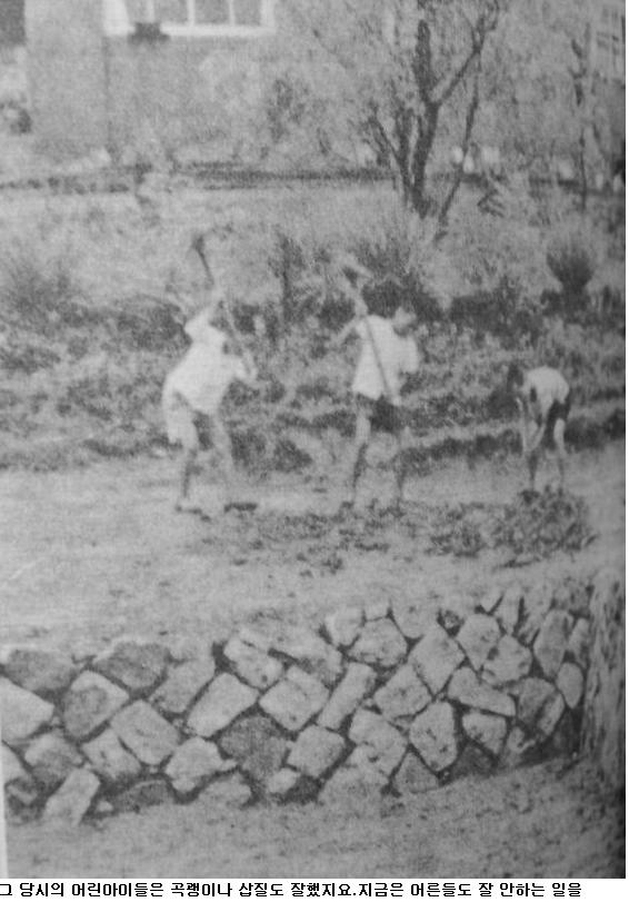 사용자가 첨부한 이미지