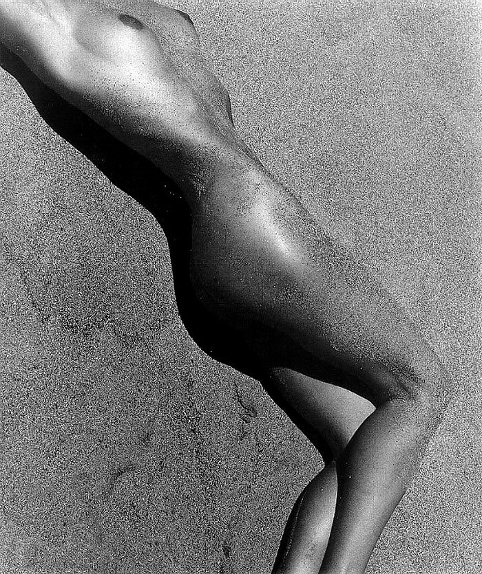 사용자가 첨부한 이미지