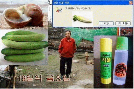 사용자가 첨부한 이미지