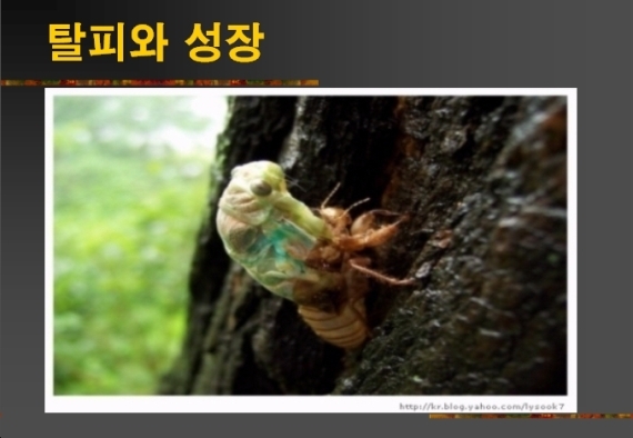 쥬라기 이미지