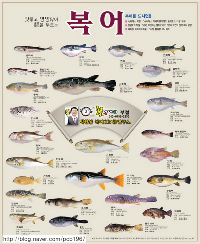 [어류] 니들이 복어를 알어? | 깔깔유머방 | 커뮤니티 - 팍스넷 증권포털