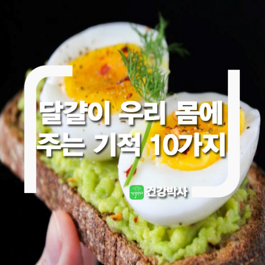 달걀이 우리 몸에 주는 기적 10가지 | 깔깔유머방 | 커뮤니티 - 팍스넷 증권포털