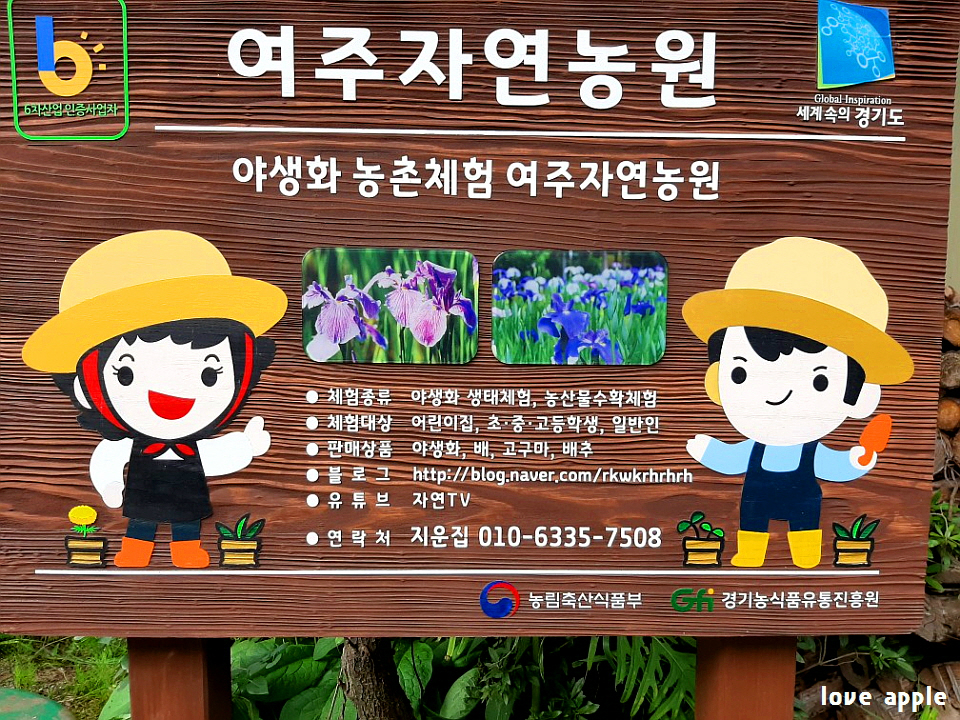 여주 자연농원 야생화 | 깔깔유머방 | 커뮤니티 - 팍스넷 증권포털