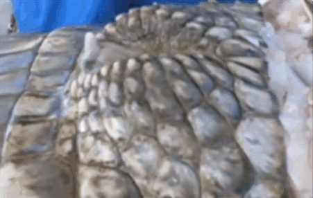 사용자가 첨부한 이미지