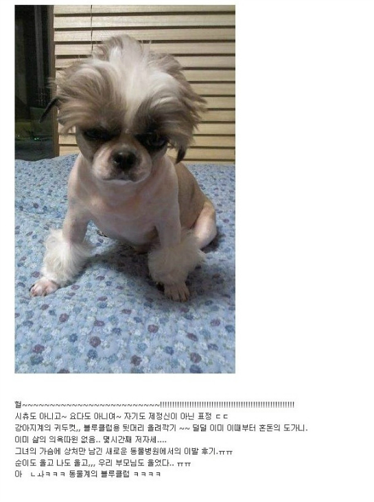 (안구정화) 미용실의 횡포 | 선옵토론실 | 선물옵션 - 팍스넷 증권포털