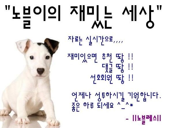 사용자가 첨부한 이미지