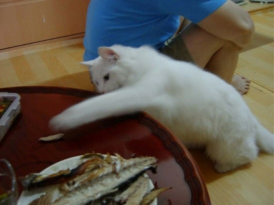 13[20120828084850]slosh9_edit.jpg