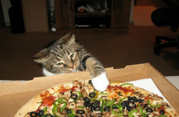 14[20120828084850]slosh9_edit.jpg