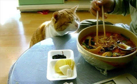 9[20120828084850]slosh9_edit.jpg